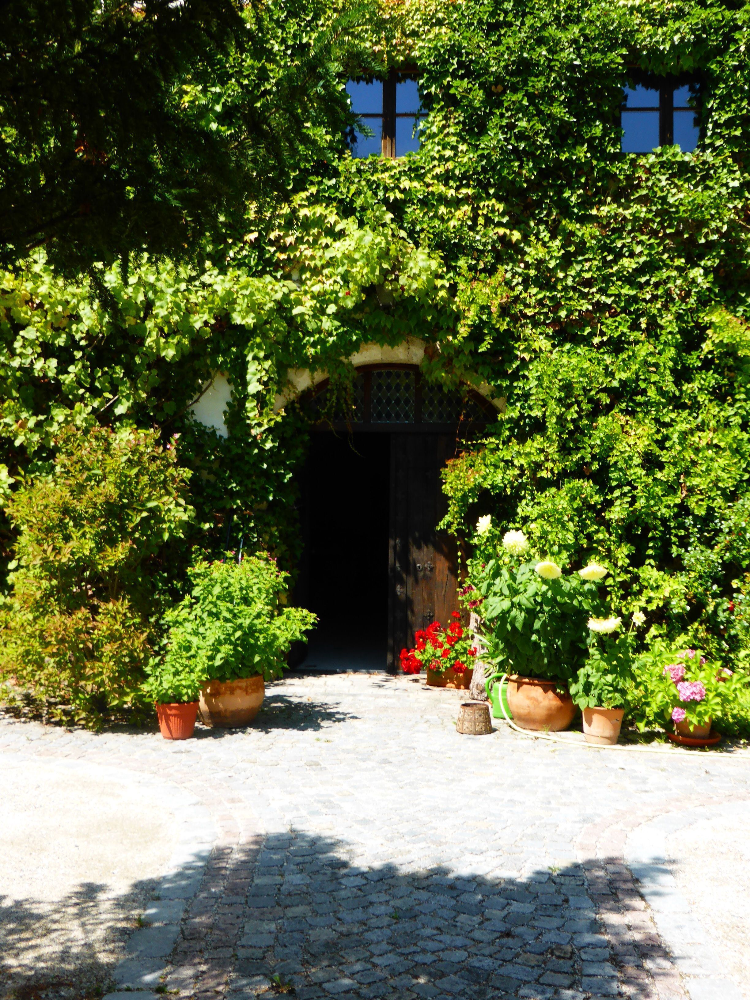 Schloss Seibersdorf (Eingangsportal)