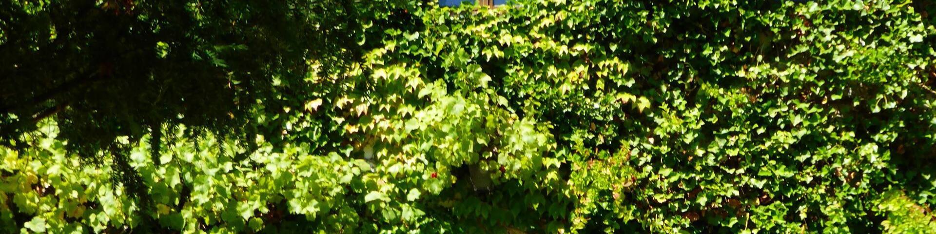 Schloss Seibersdorf (Eingangsportal)