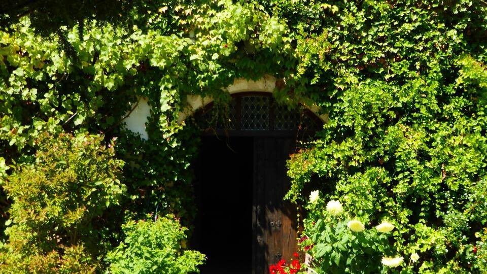 A cobblestone pathway leading to a wooden door framed by lush green foliage.