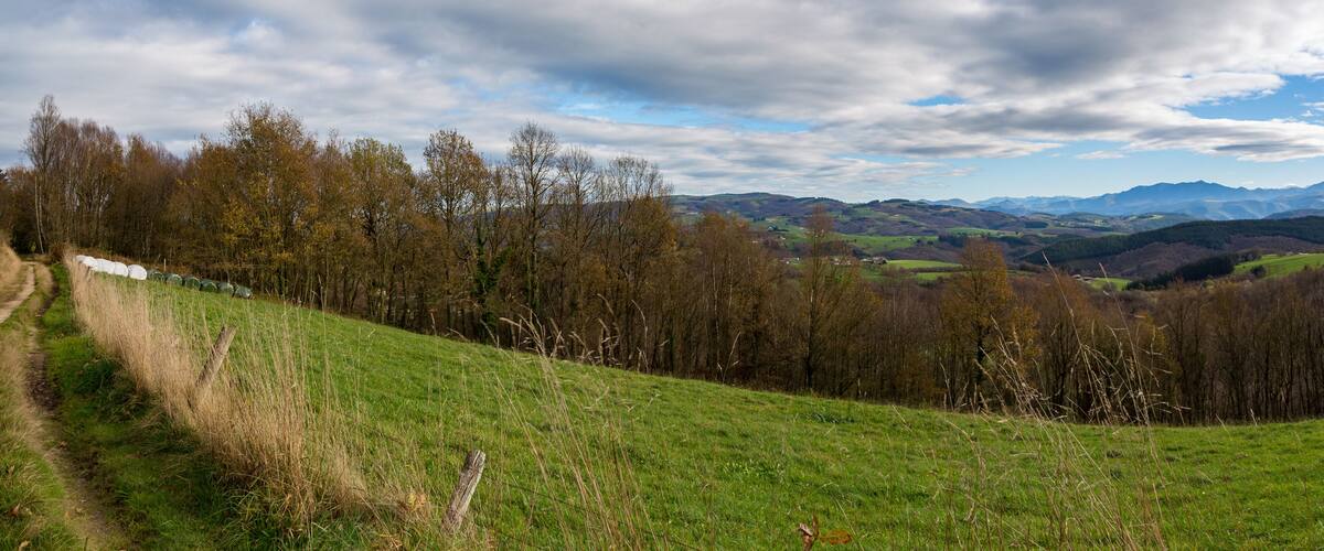 A grassy hillside with a fence, trees, and distant mountains under a cloudy sky.