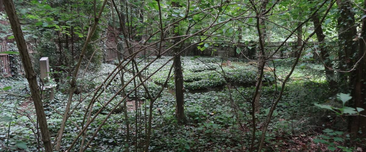 Jewish Cemetery in Bad Frankenhausen, Thuringia, Germany