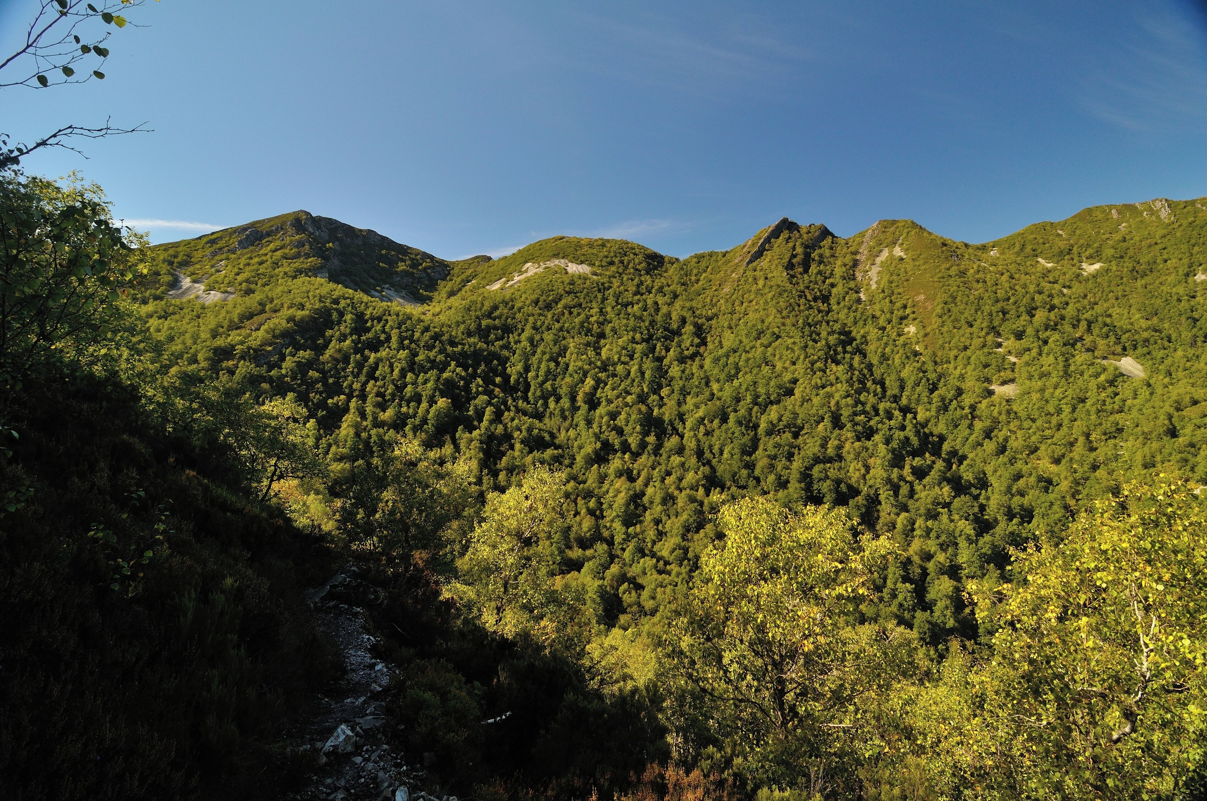 A mountainous landscape with dense forests and a river.