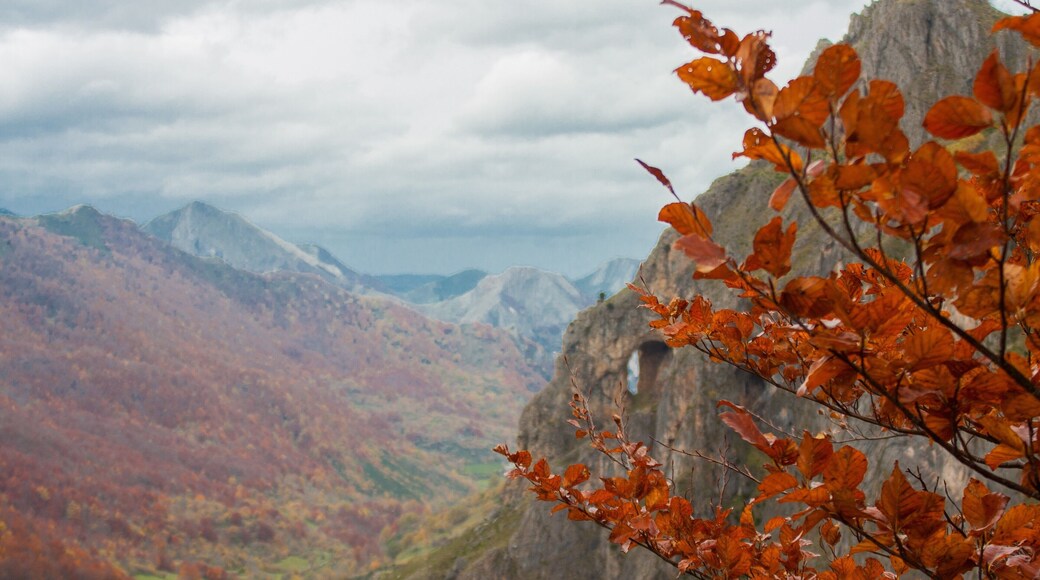 Enjoying the fall!
#Spain #Nature #LifeAtExpediaGroup #FallFoliage