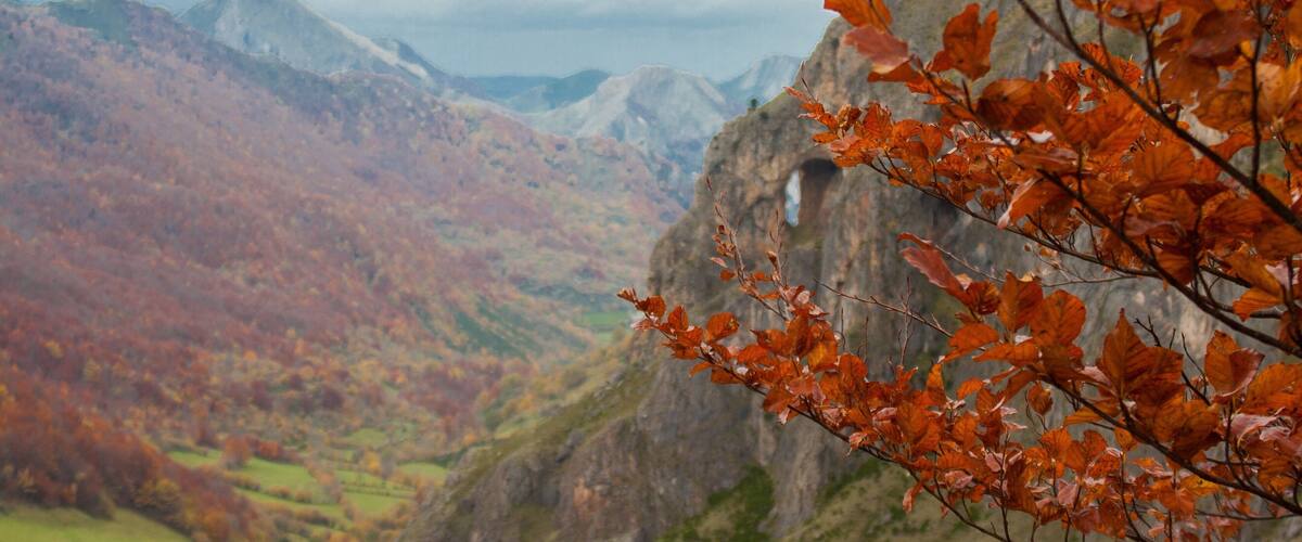 Enjoying the fall!
#Spain #Nature #LifeAtExpediaGroup #FallFoliage