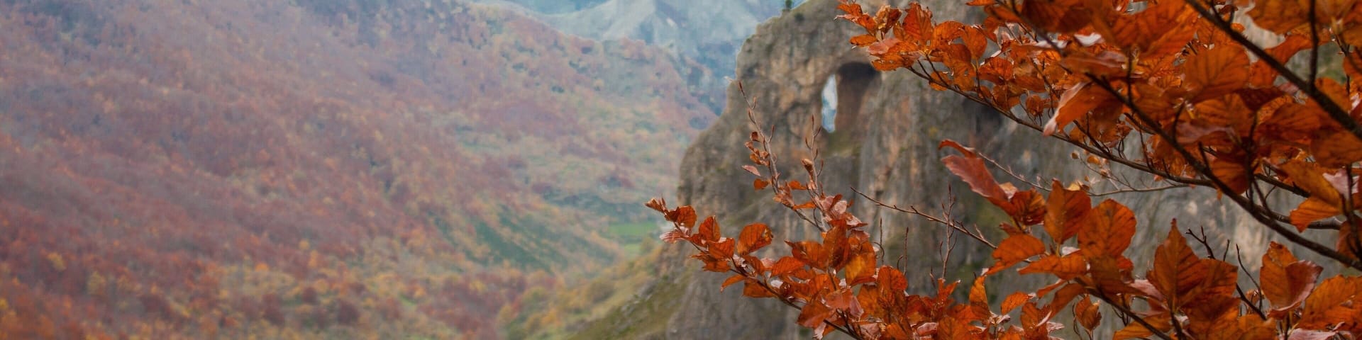 Enjoying the fall!
#Spain #Nature #LifeAtExpediaGroup #FallFoliage