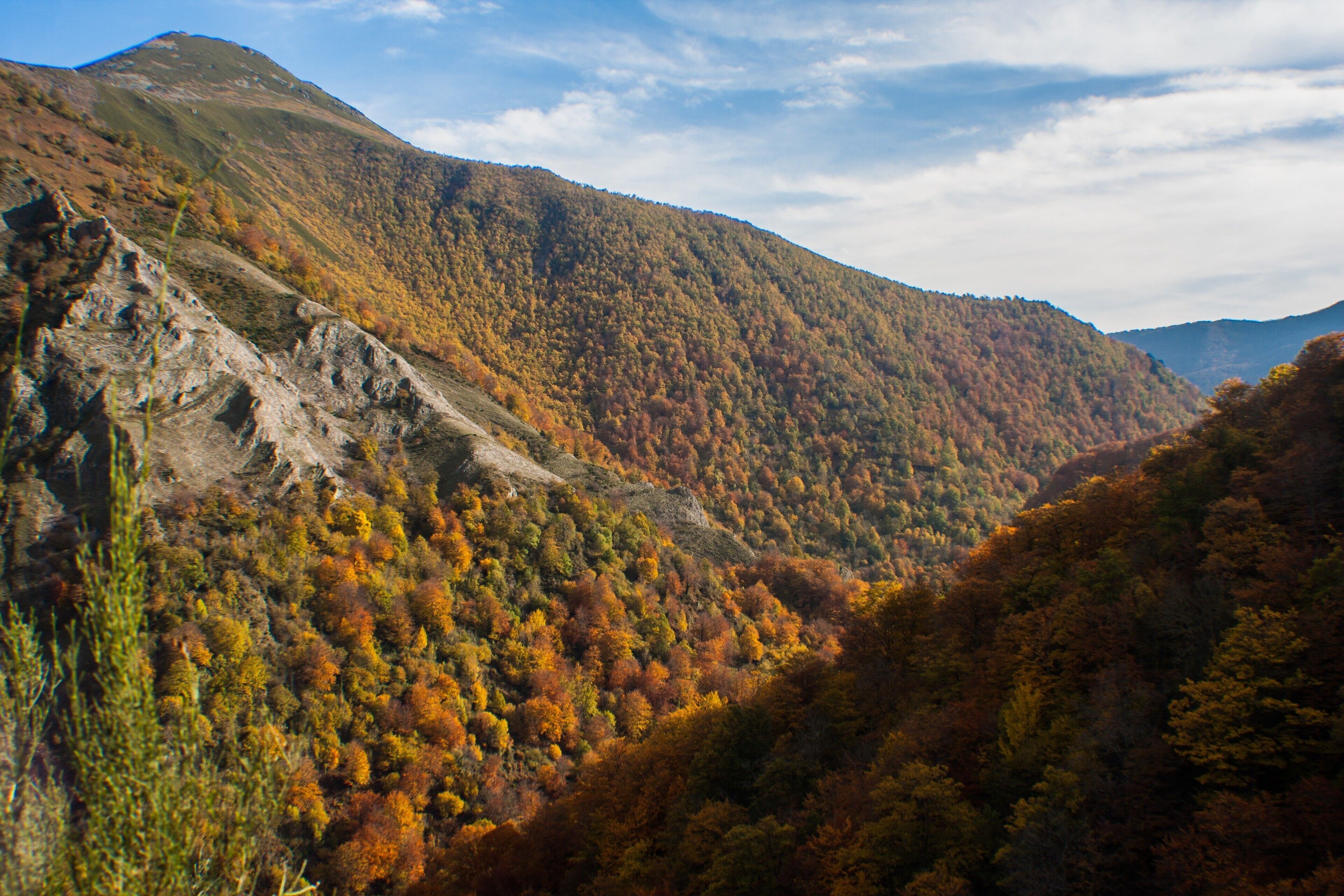 Enjoying the fall!

#LifeAtExpediaGroup #FallFoliage #Nature #Spain #Autumn 