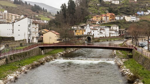 Cangas del Narcea