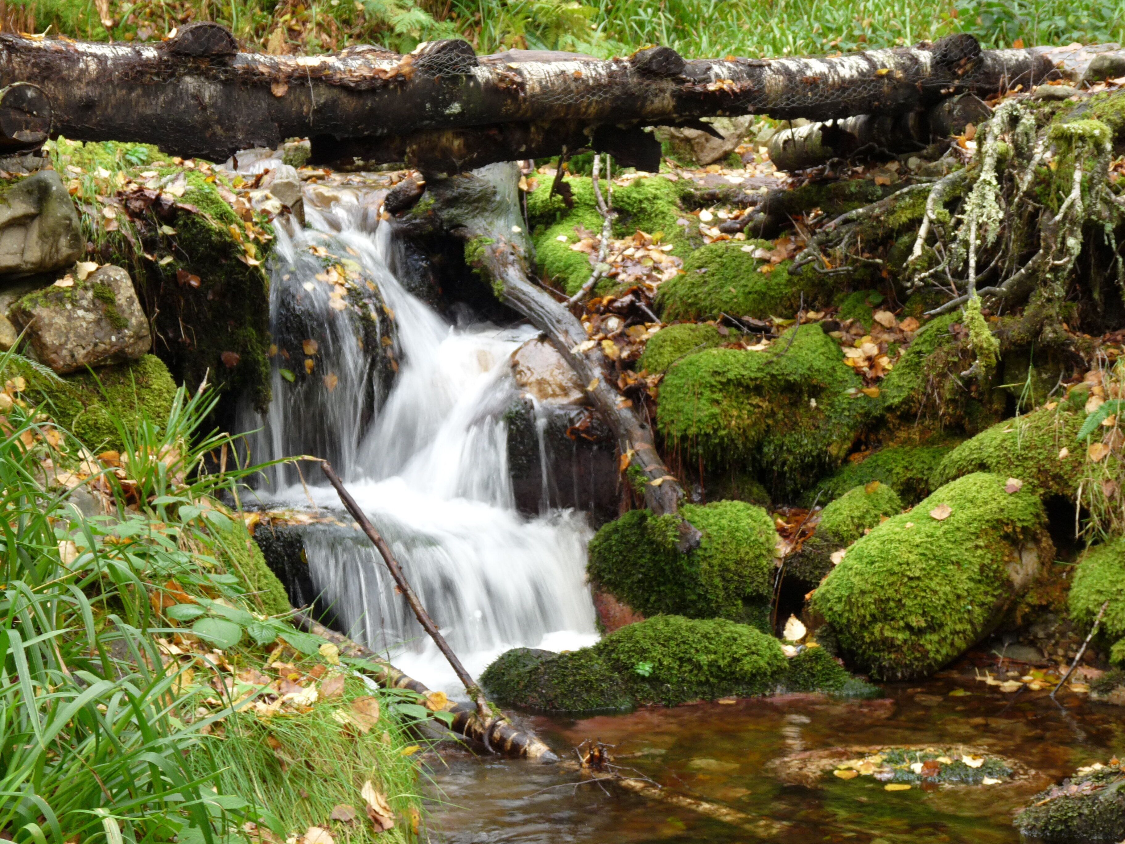 A small waterfall surrounded by moss-covered rocks and fallen leaves.