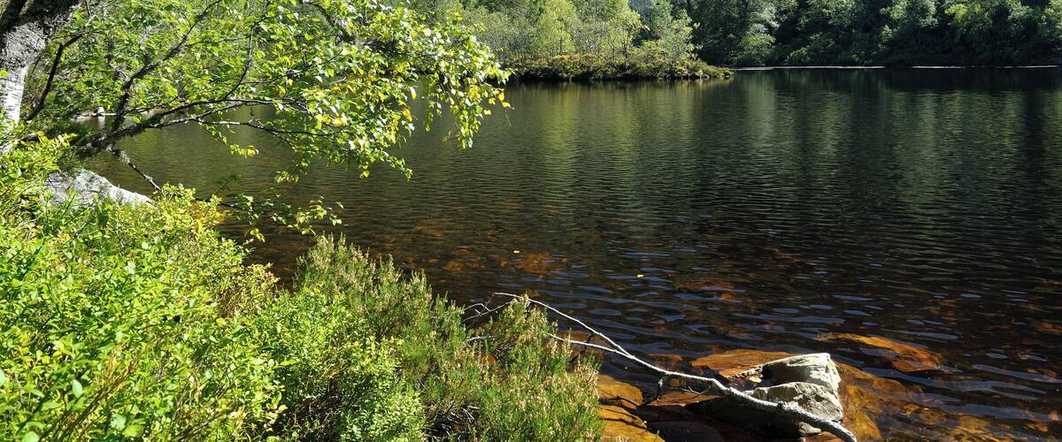 A serene lake surrounded by dense forest and rocky terrain.