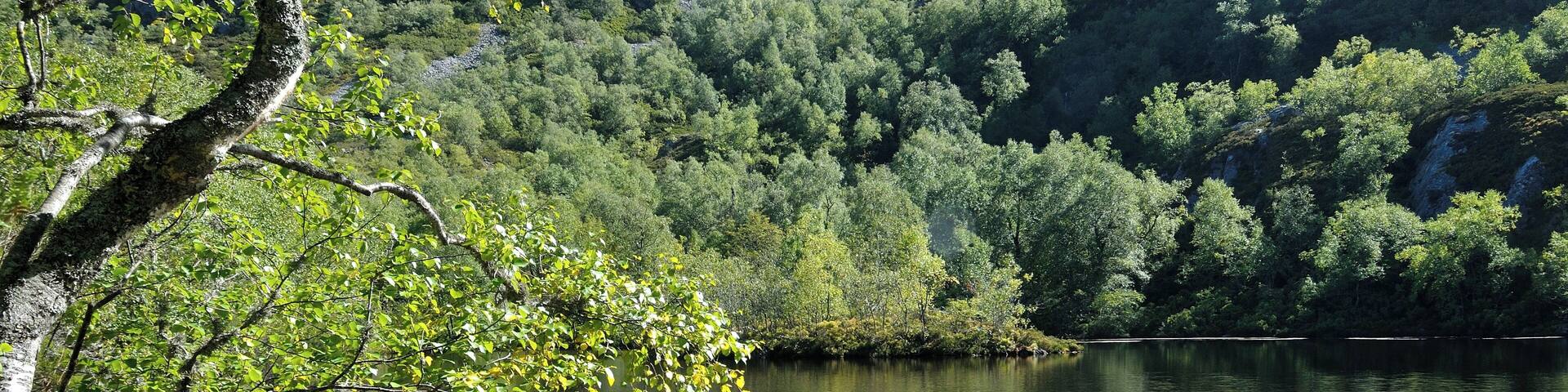 A serene lake surrounded by dense forest and rocky terrain.