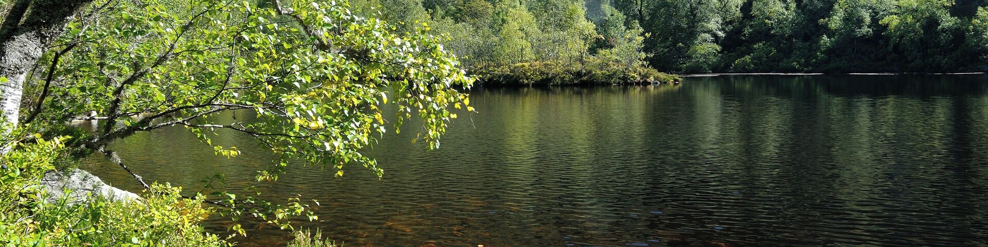 Un lago tranquilo rodeado de bosque denso y terreno rocoso.