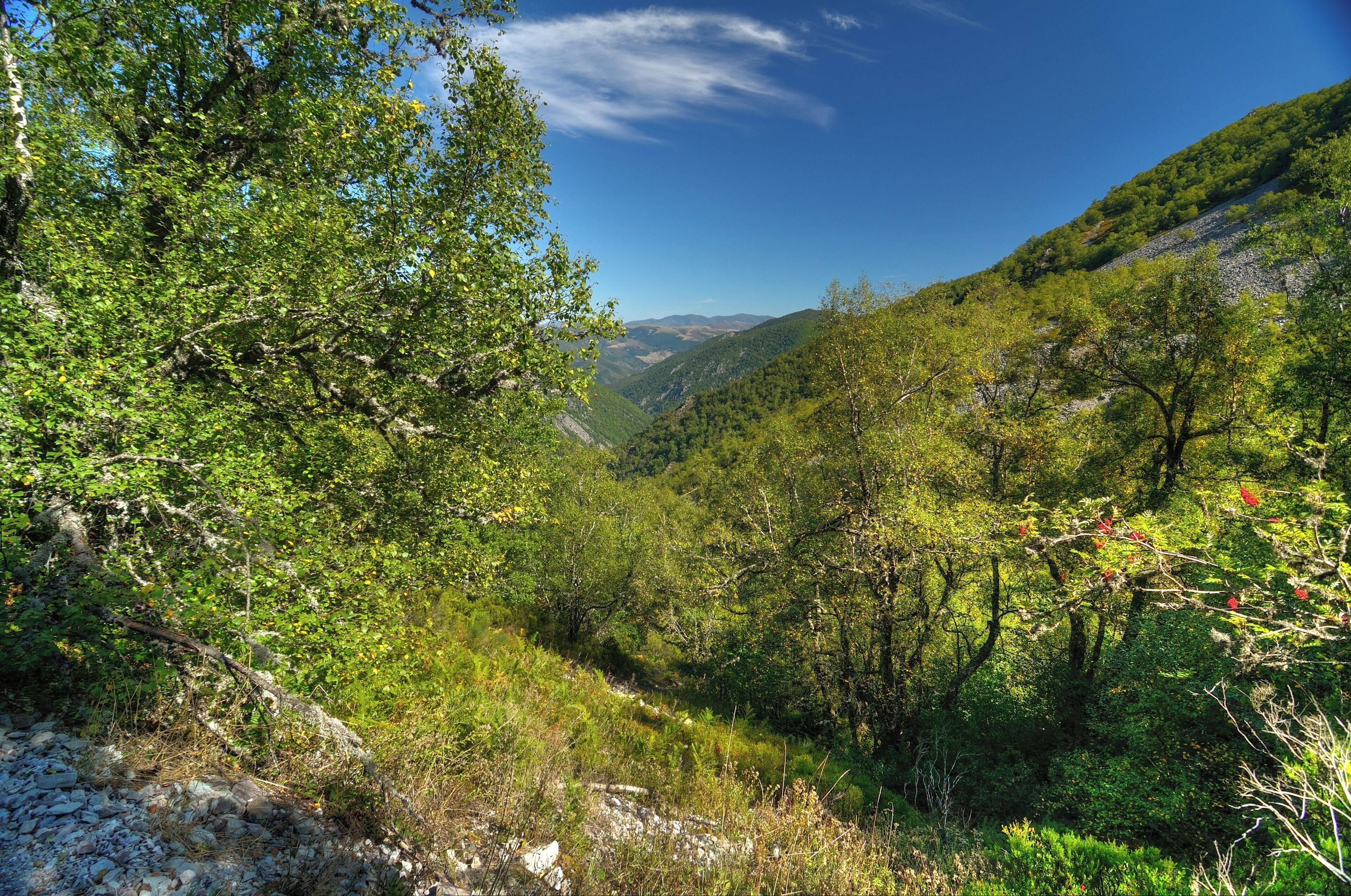 Biosphere reserve of Muniellos, in Cangas del Narcea, in Asturias, Spain.