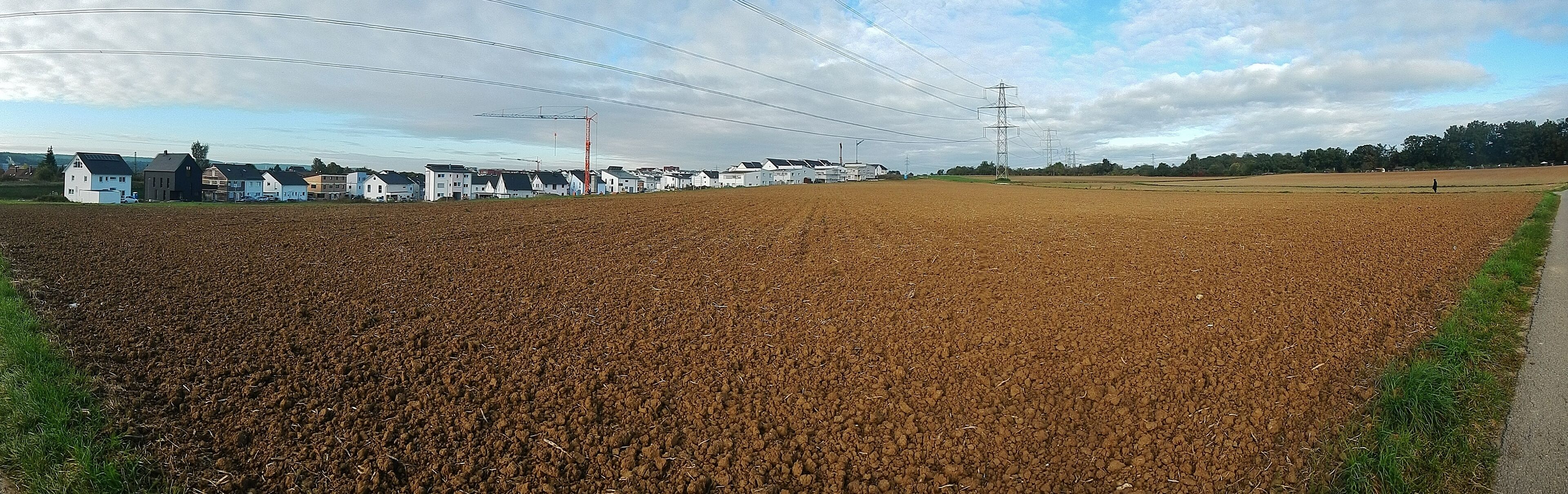 Bühl II in Ehningen 2014