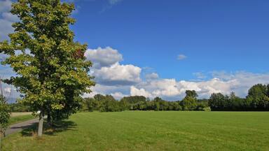 Mischung aus Kultur- und Naturlandschaft bei Langenbrücken