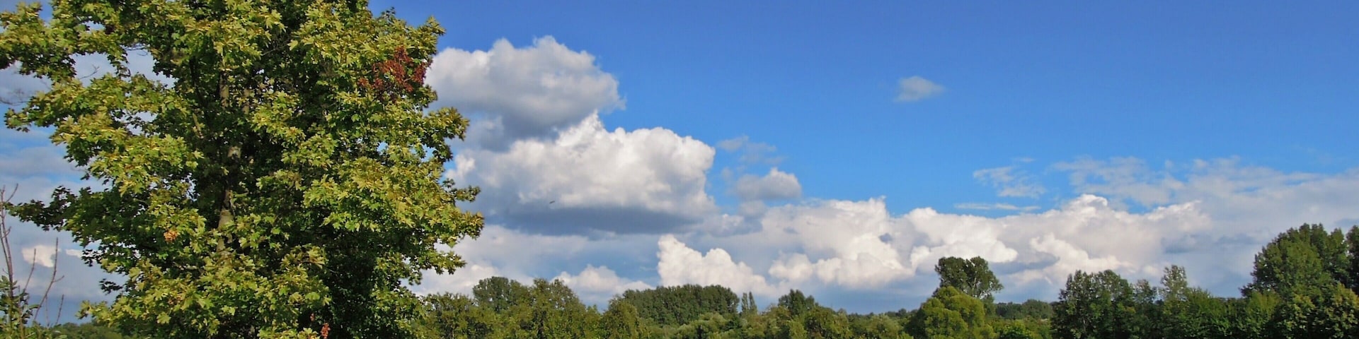 Mischung aus Kultur- und Naturlandschaft bei Langenbrücken