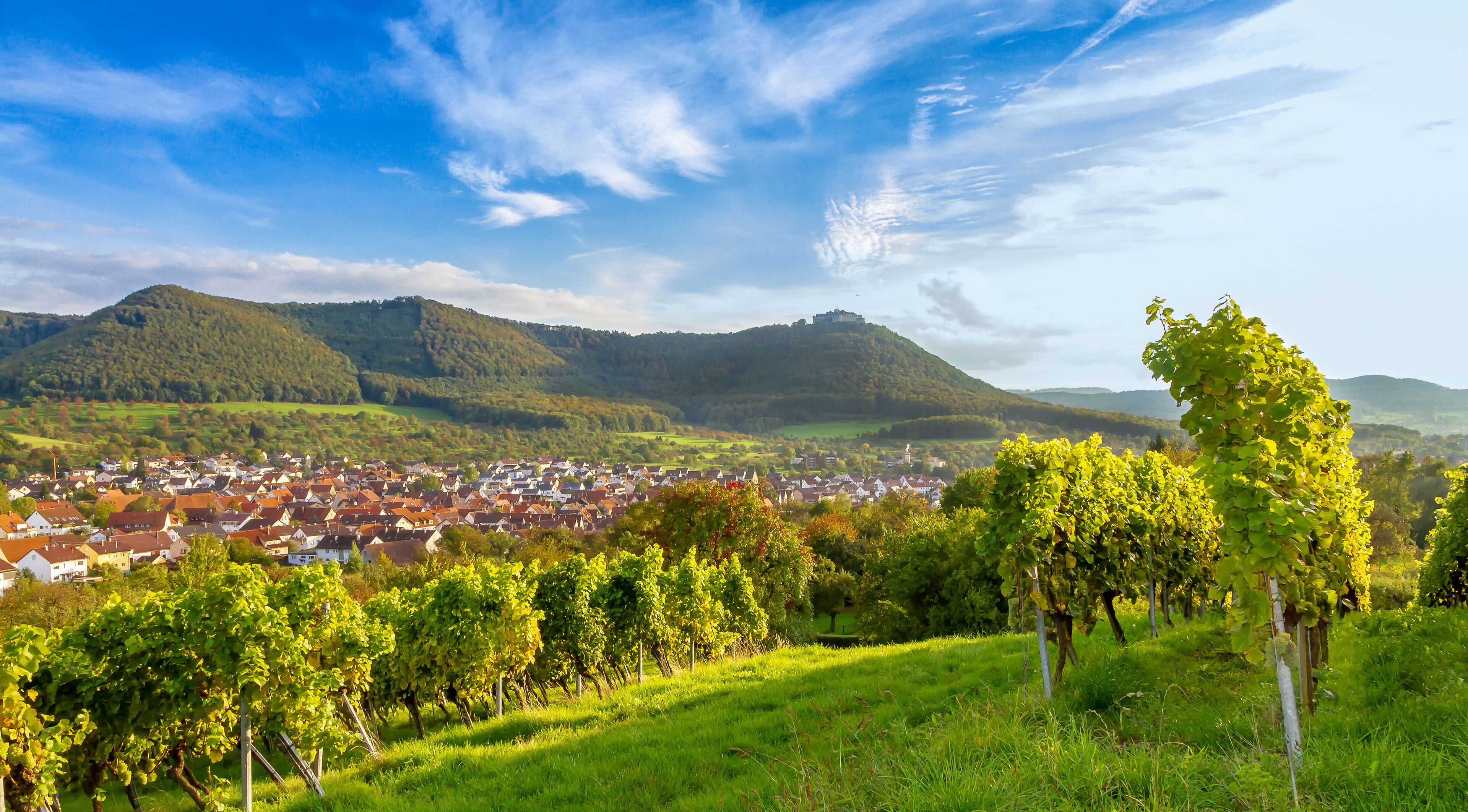 A vineyard, a town, and rolling hills under a clear sky.