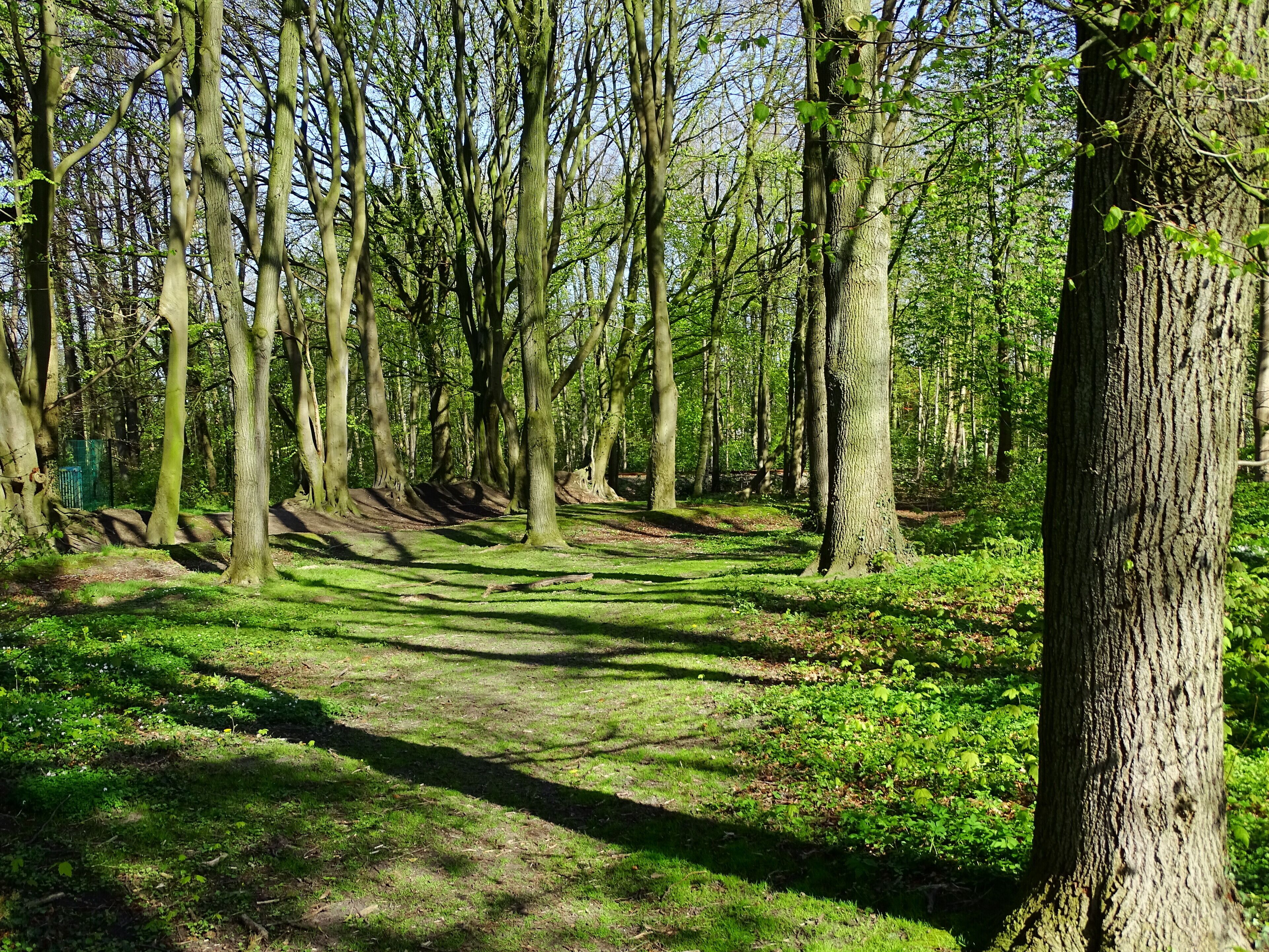 Naturdenkmal Heiligtum in Schortens