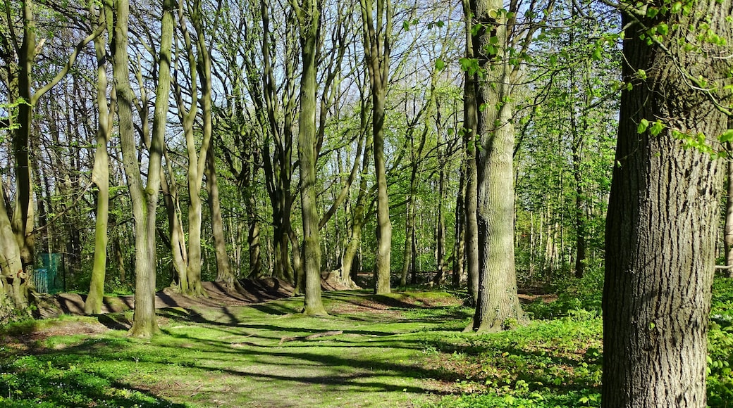 Naturdenkmal Heiligtum in Schortens