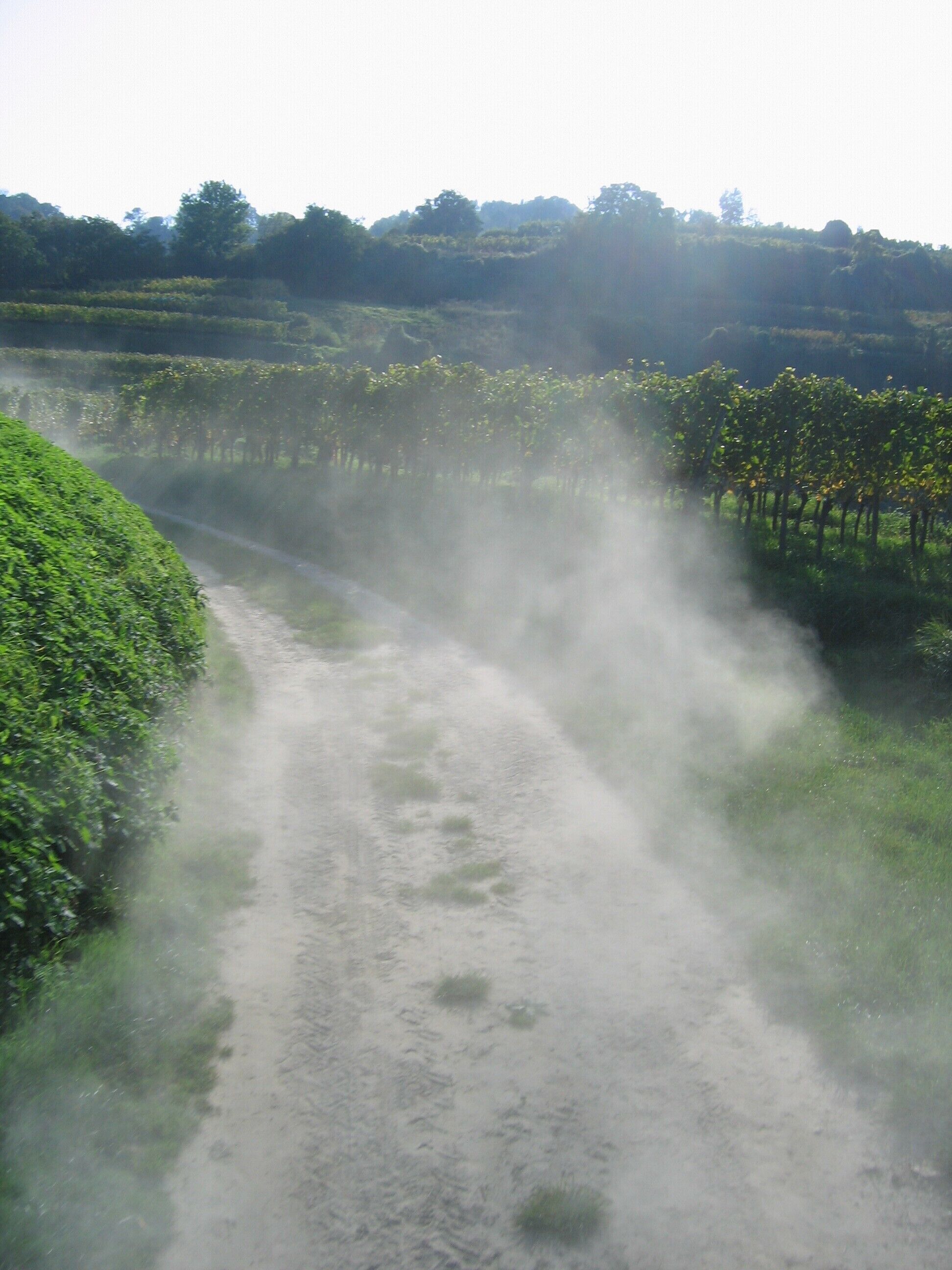 Mit dem Unimog-Oldtimer durch die Amolterer Heide (Weingut Knab)