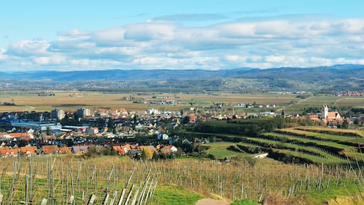 Endingen am Kaiserstuhl