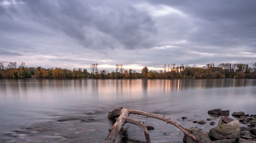 The low water level is always helpful in finding new photo compositions.
#germany
#bvs
#sunset