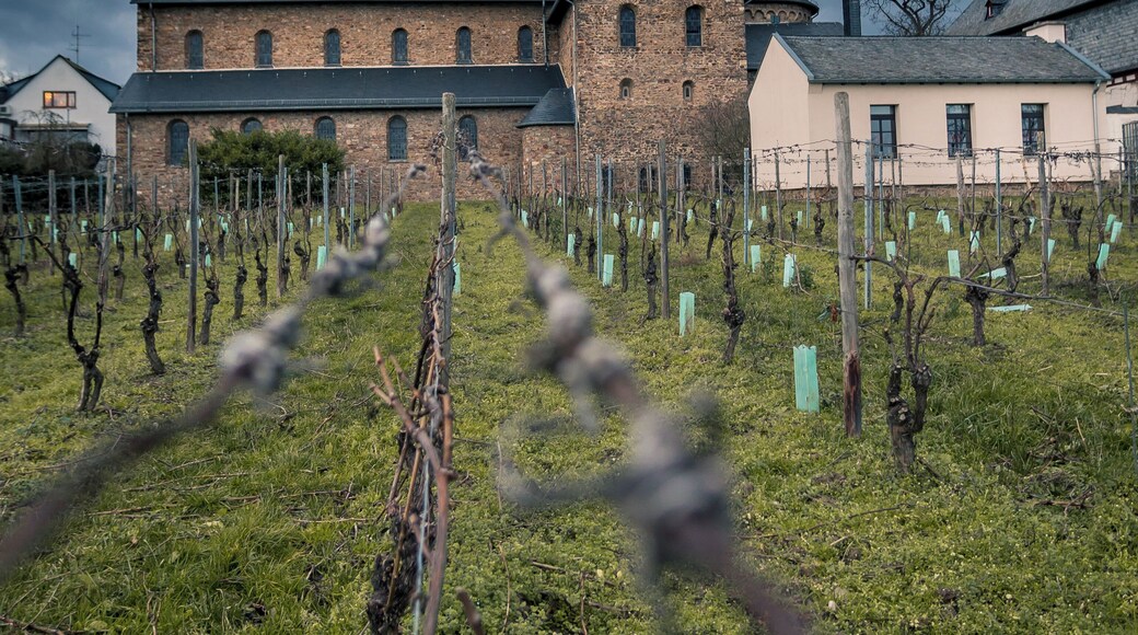 Wide angle lens always gives nice possibilities to find a new perspective.
#Perspectives