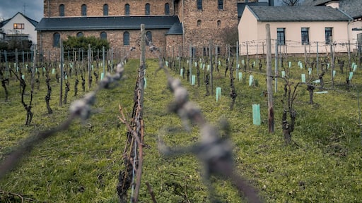 Wide angle lens always gives nice possibilities to find a new perspective.
#Perspectives