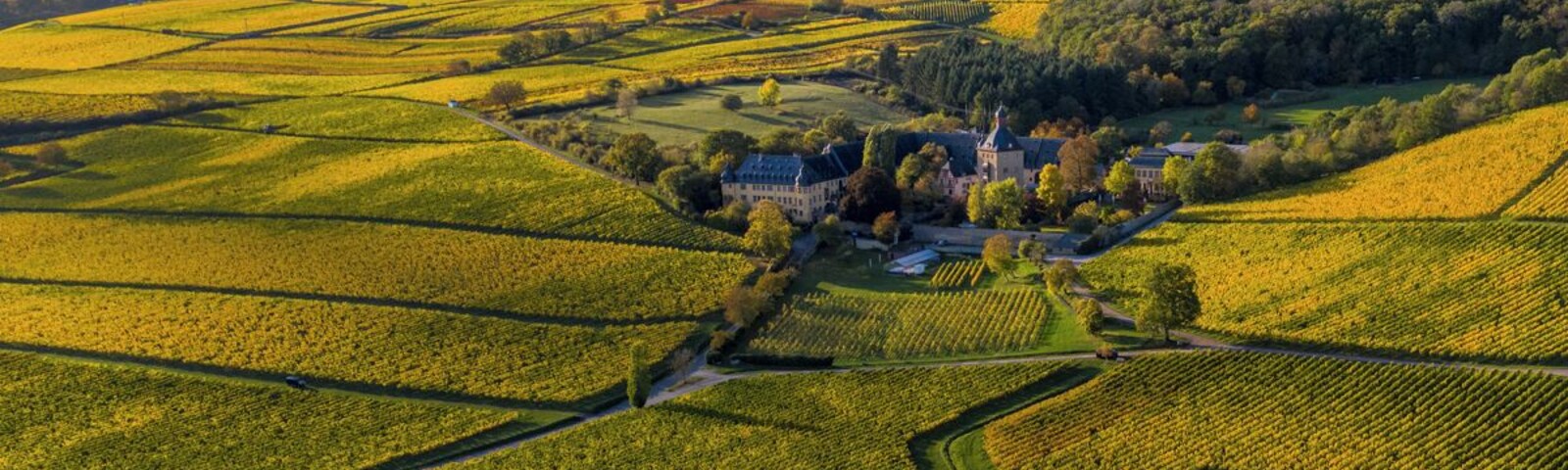 Amazing autumn colors in Germany.
#LocalSecrets.