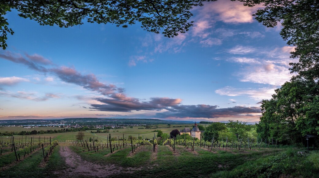 One of coolest photo spots in Oestrich Winkel.
#BVSBlue