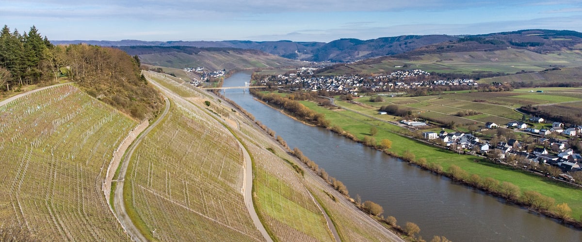 A river winding through a valley with a town on one side and a vineyard on the other.