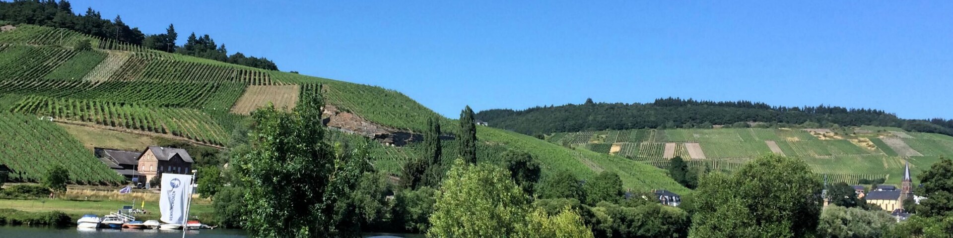 Mülheim (Moselle), Germany