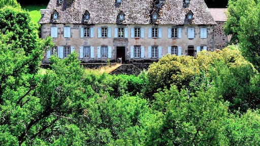 I'm not sure whether this was a house or a school, or something else, but it certainly caught my eye while we were driving through the Auvergne.
