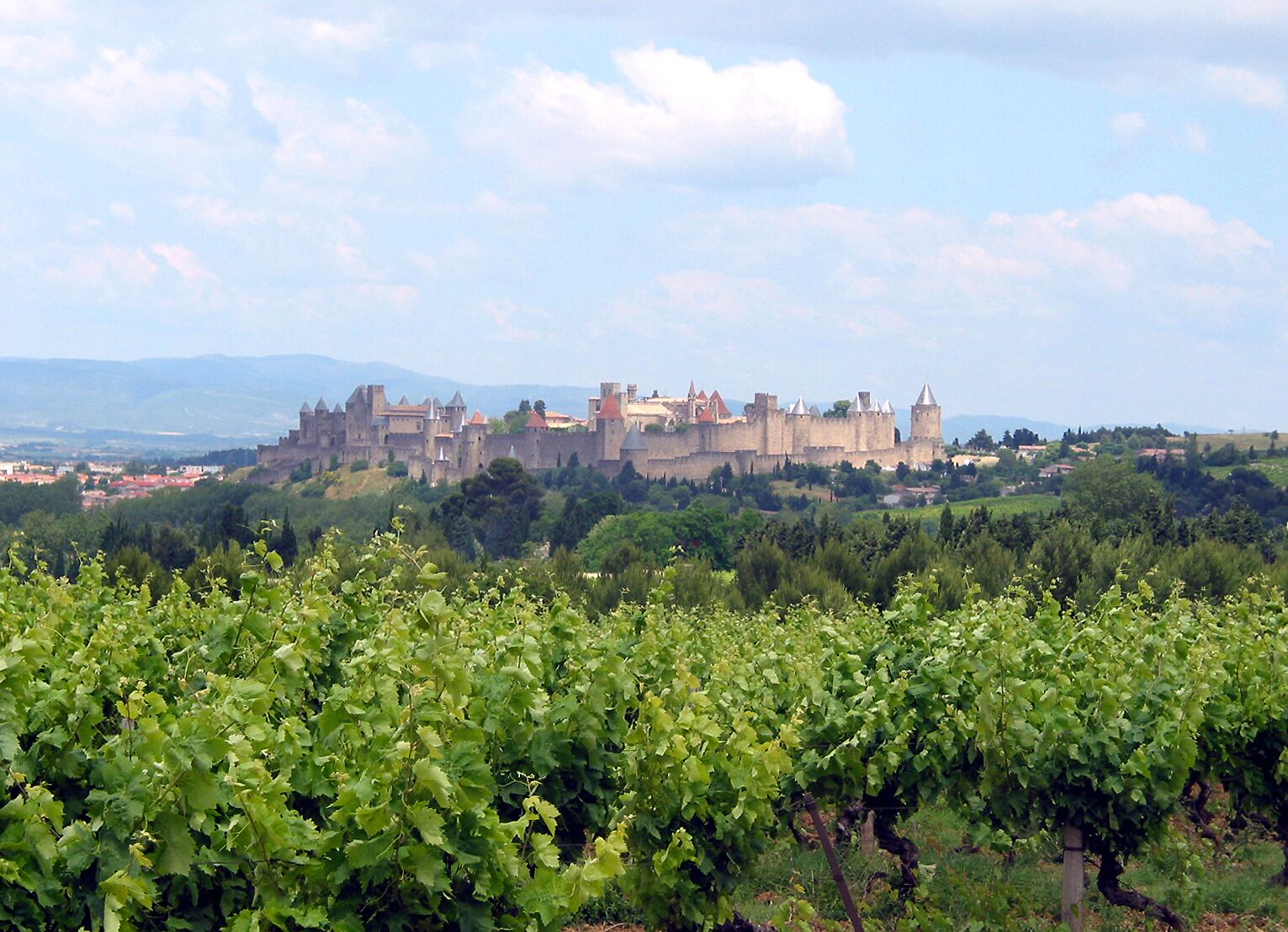 Carcassonne (Aude - France), the medieval city with its pleasant green site.