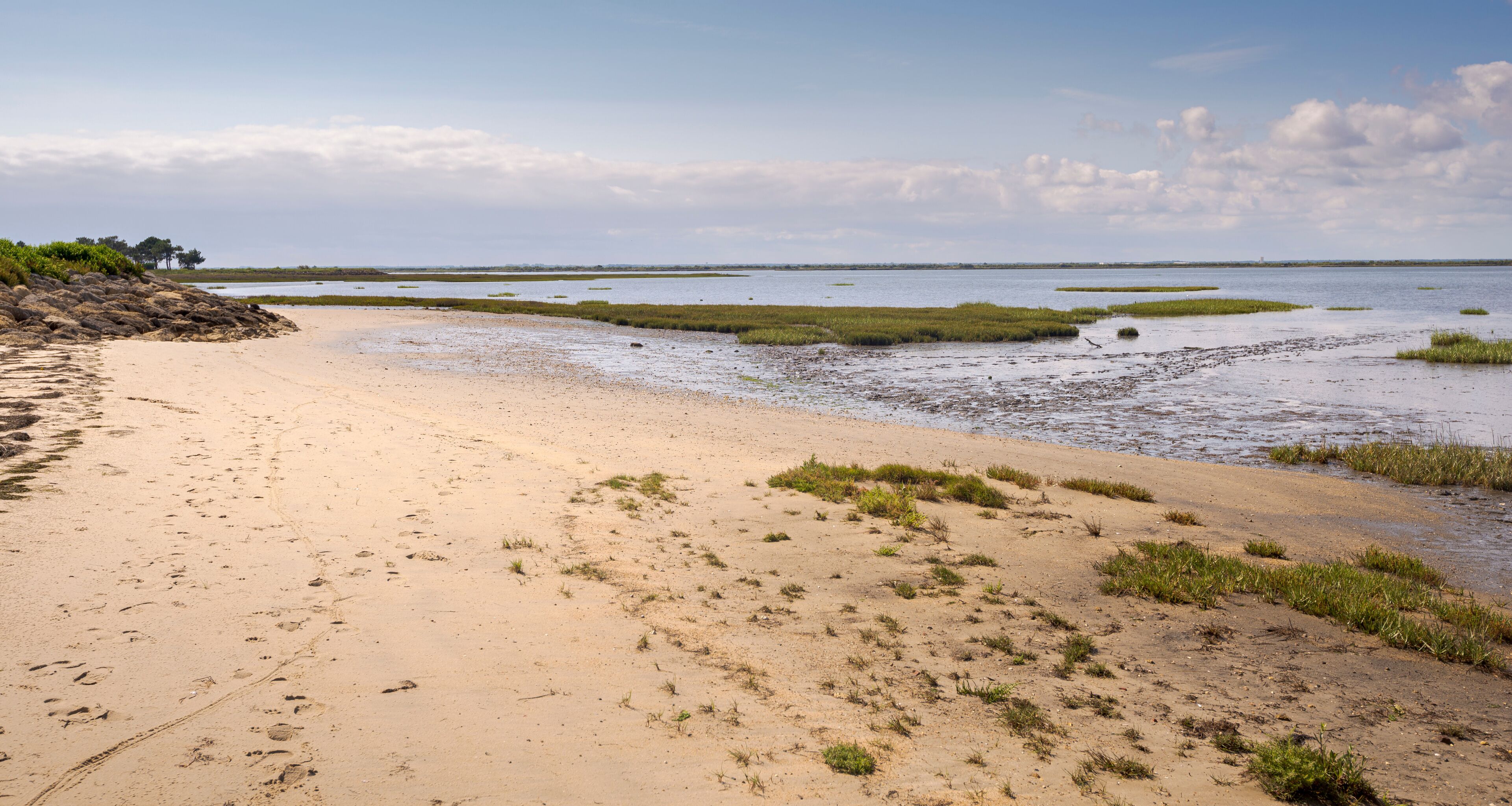 A sandy beach with patches of grass and a calm body of water.