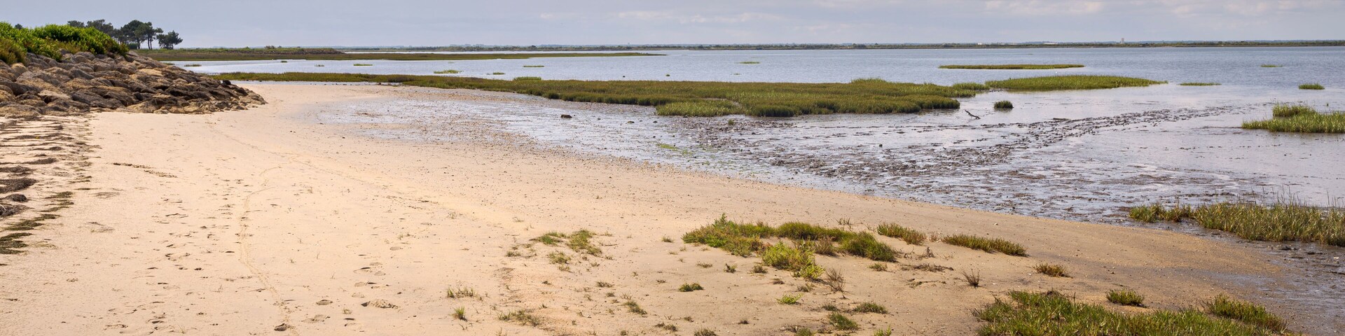 A sandy beach with patches of grass and a calm body of water.