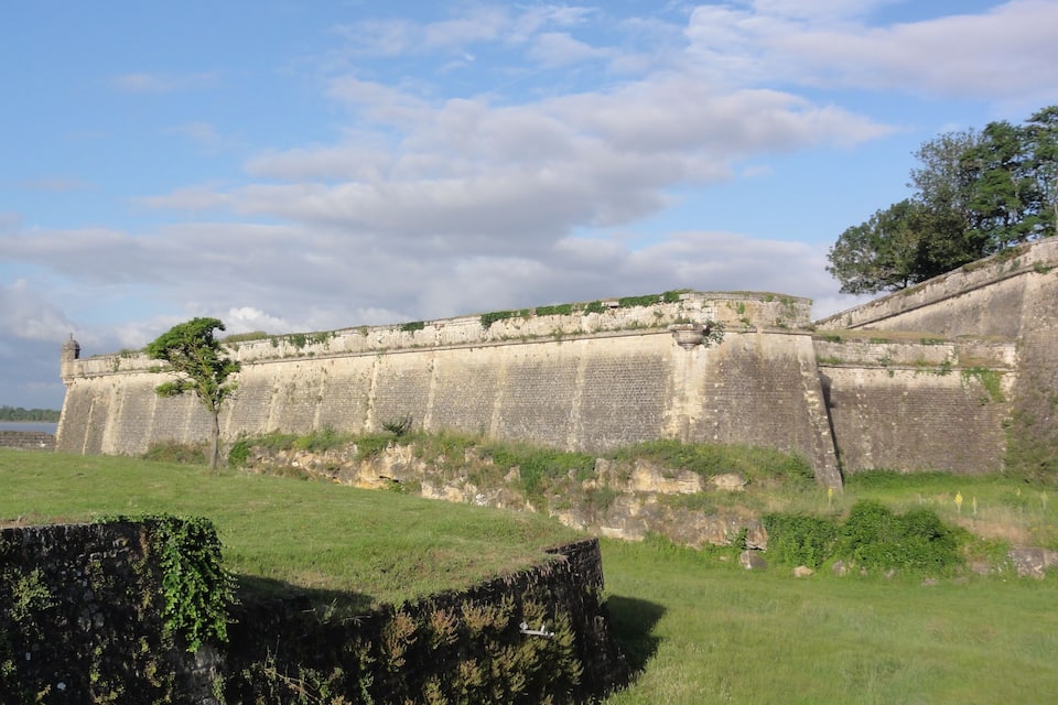 Mural de pedra histórica com vegetação, céu claro e uma árvore em primeiro plano.