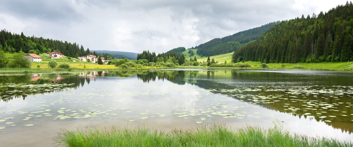 A calm lake with lily pads, surrounded by lush greenery and a forested hill.
