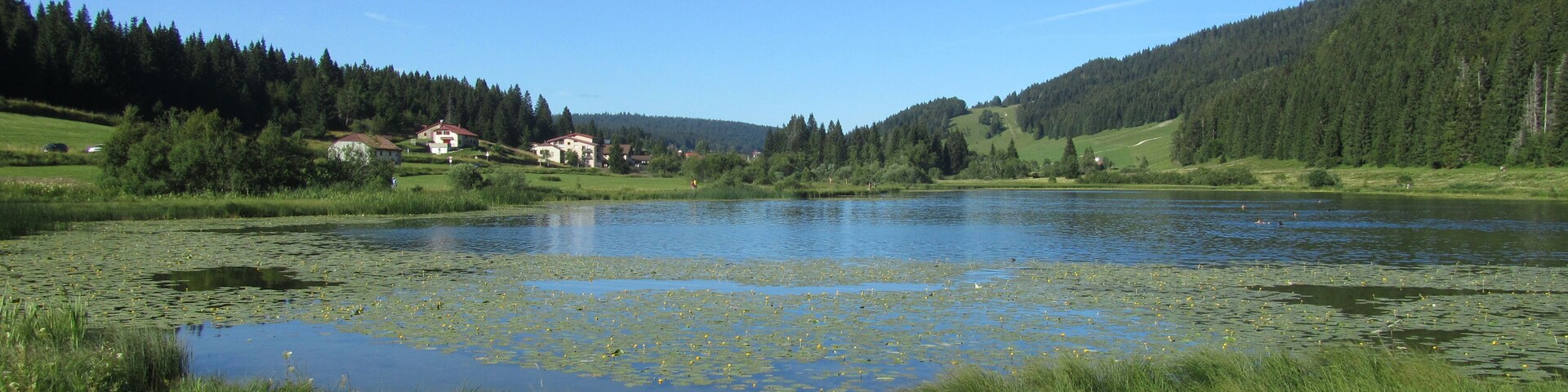 Un lago rodeado de vegetación exuberante y colinas.