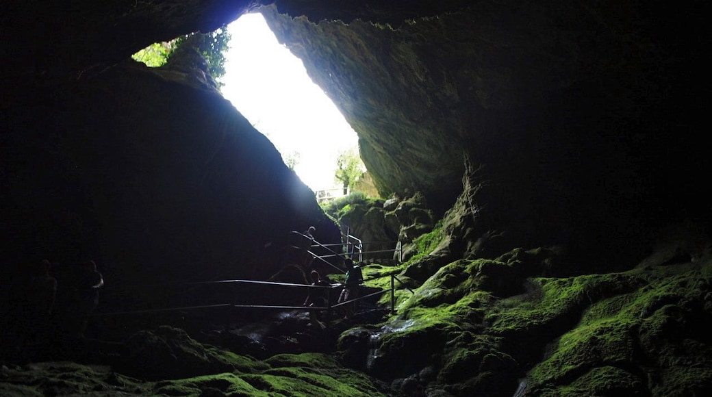 Photo taken in the Cave of Zeus in Crete, Greece.
#Holiday #Greece #Cave #Greek #Zeus