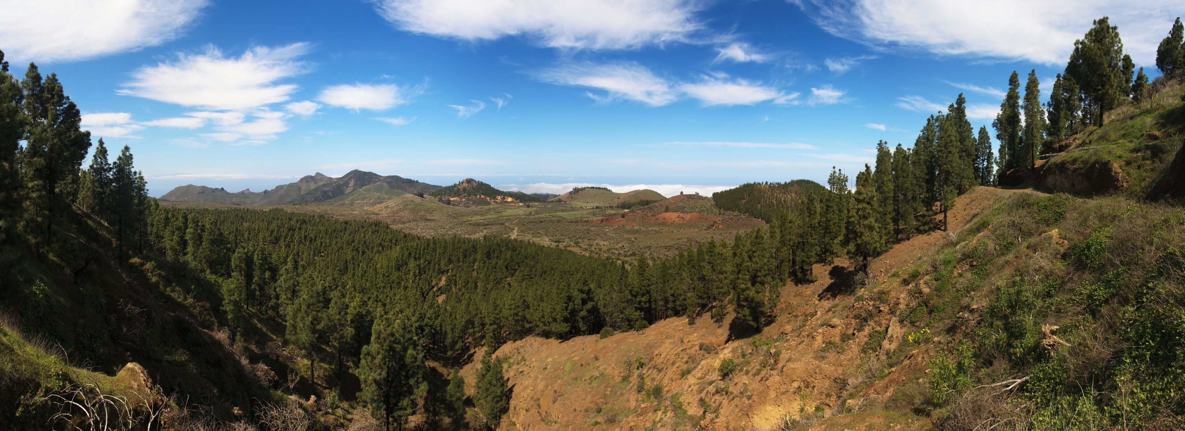 A mountainous landscape with dense forests and a clear blue sky.