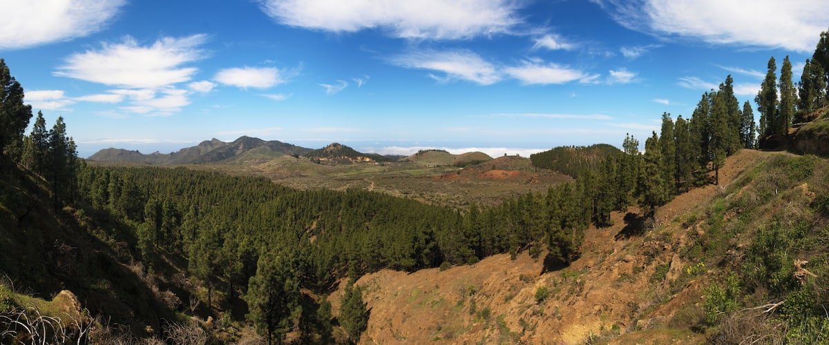 A mountainous landscape with dense forests and a clear blue sky.