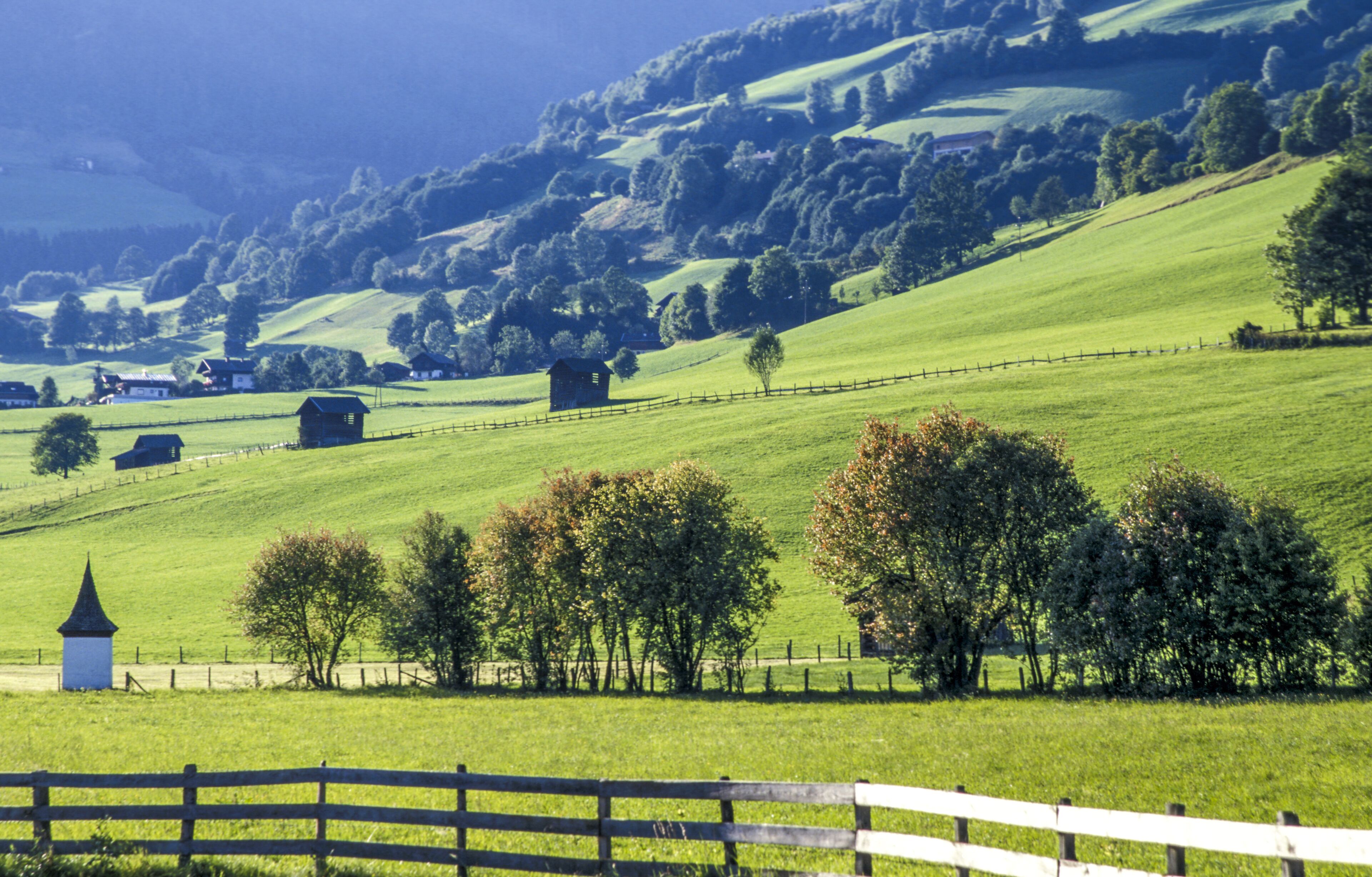 Wiesenlandschaft, Österreich, Salzburg, Pinzgau, Piesendorf