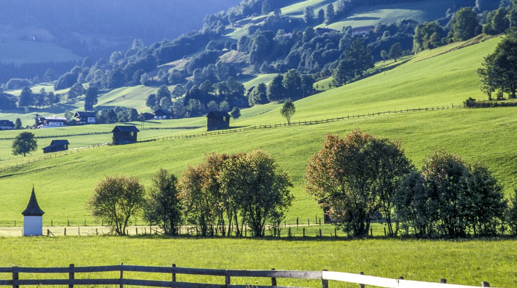 Wiesenlandschaft, Österreich, Salzburg, Pinzgau, Piesendorf