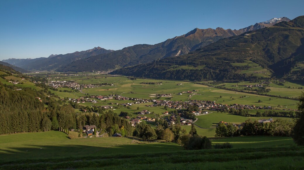 Das Salzachtal von Westen mit Piesendorf und Imbachhorn.