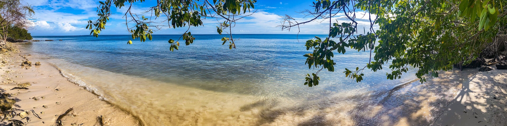 A beach with clear water, sandy shore, and green foliage.