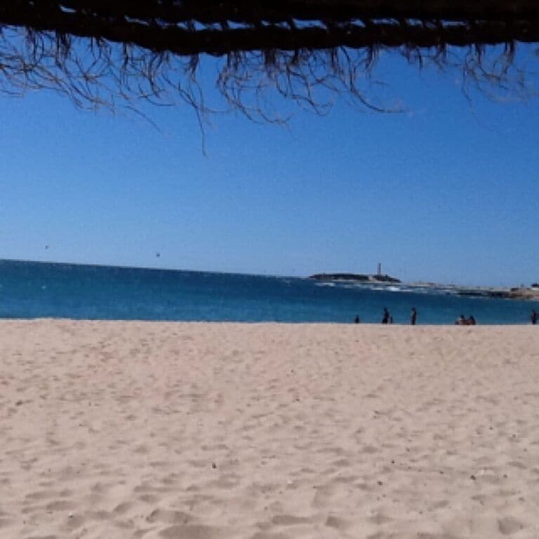 Dozens of kite surfers in the skies :-)
