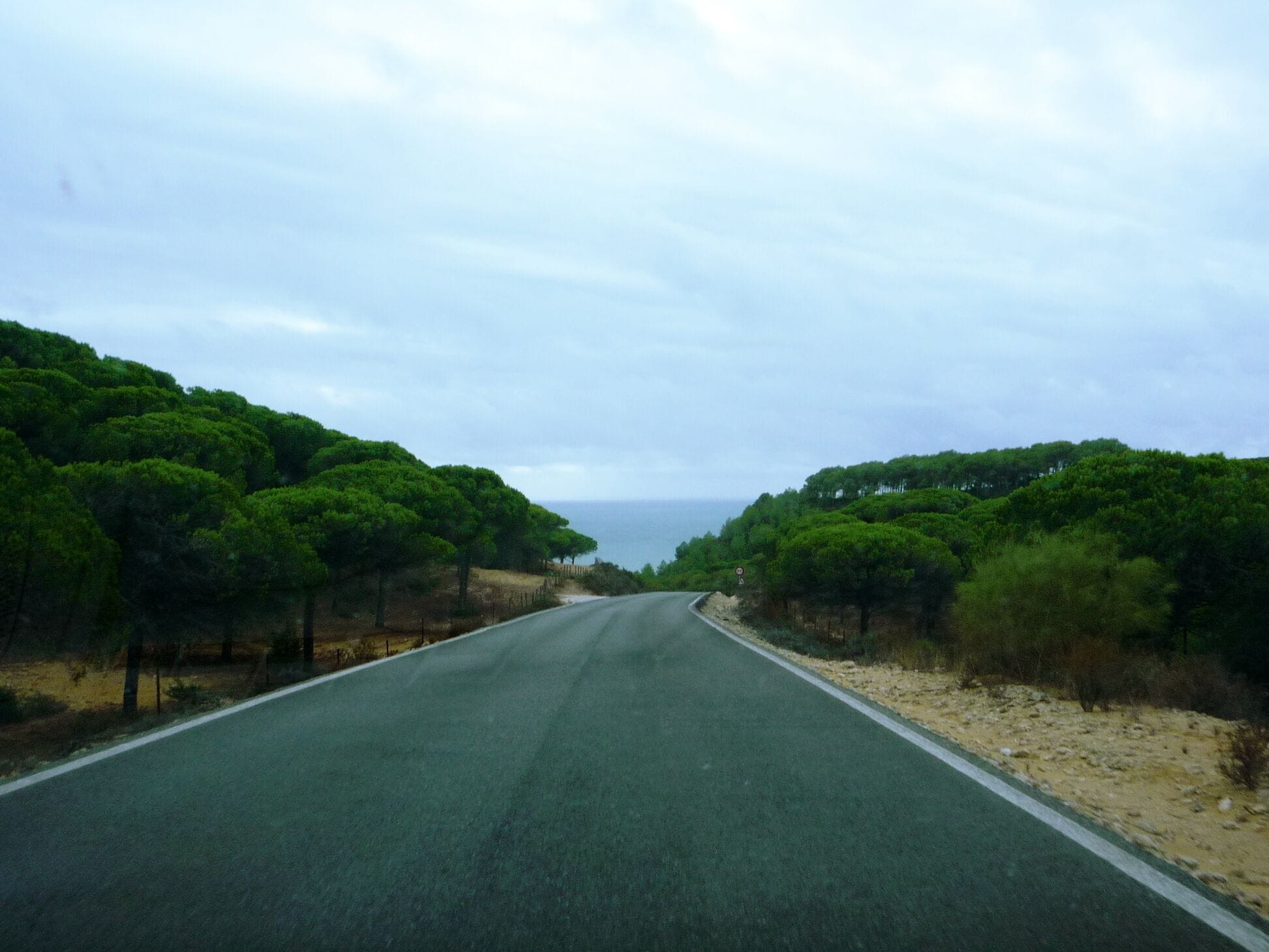 Am nördlichen Ende des Pinars führt die Straße durch den Naturpark la Brena steil nach Los Canos und zum Meer hinunter. See more about in a related article (DE) of my travelblog.