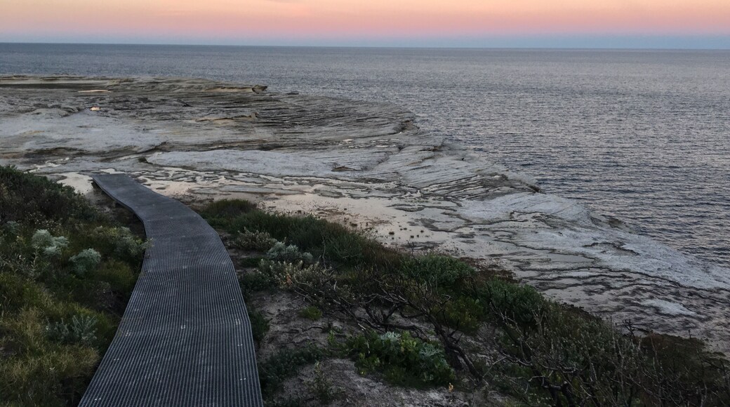 Such a beautiful walk from Cape Solander to the light house. If you’re lucky you get to see a few hump back whales breach along the way.