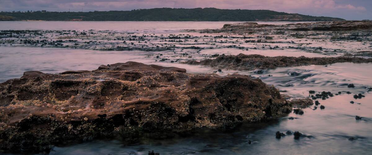 Looking into the sunset at Captain Cook's Landing Place. #sunset #seascape