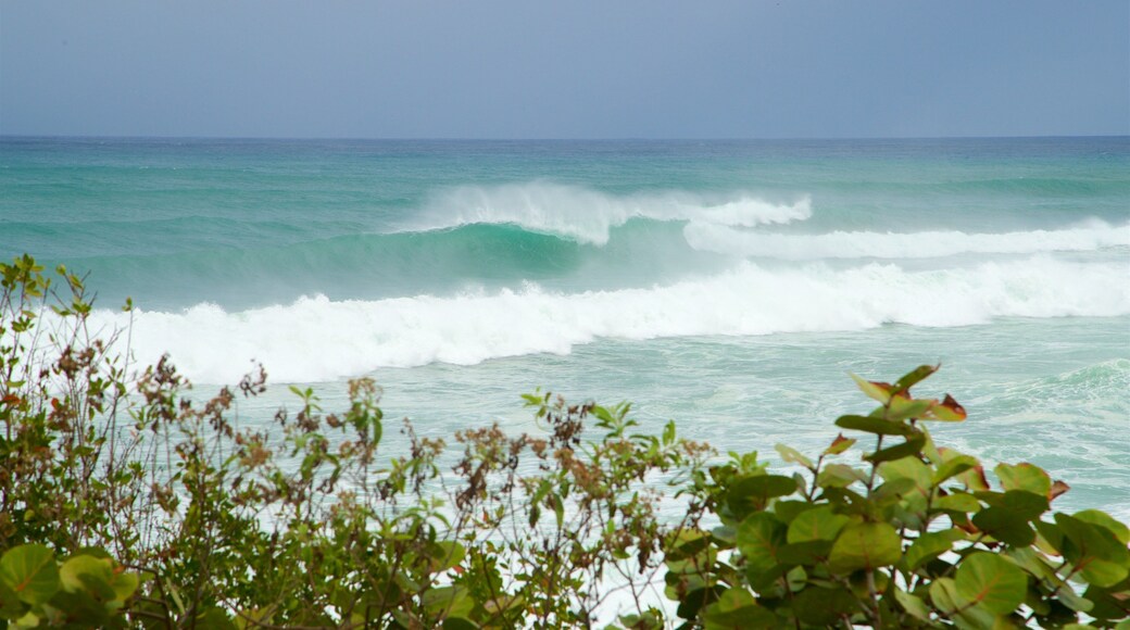 Domes Beach featuring general coastal views and waves